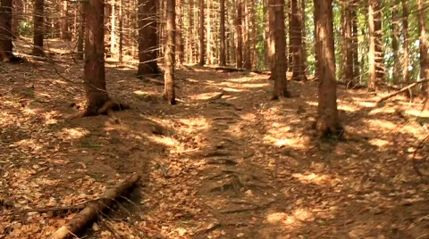 Ascent Stock Footage