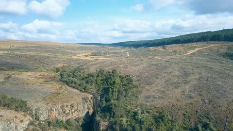 Ascent over bare forestry region with small waterfall nestled in bushy patch Video stock 78584399