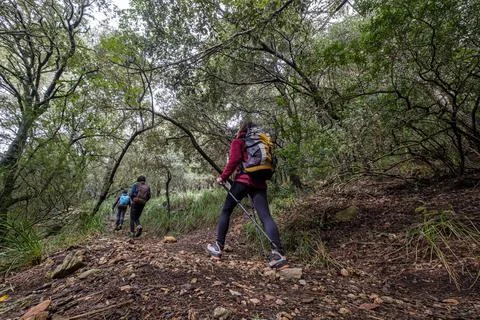 Ascent path to Puig de Galatz, Tramontana sierra, Majorca, Balearic Islands,  Stock Photos