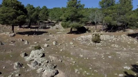 Ascent on the side of a mountain covered with pine trees Stock Footage 170448757