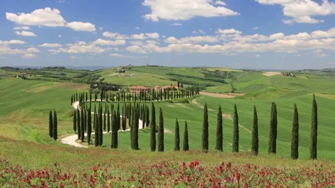 Asciano Landscape Stock Footage 278445030