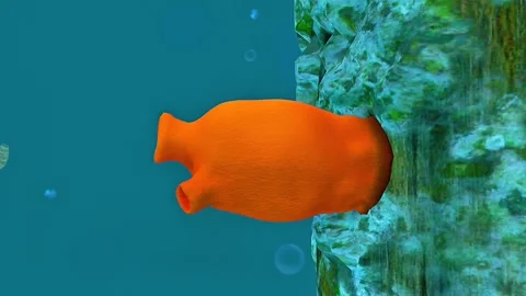 Ascidians 3D view Stock Footage 323000733