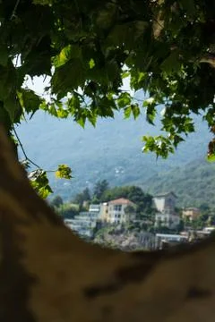 Ascona city view through tree trunk with water and leaves Stock Photos