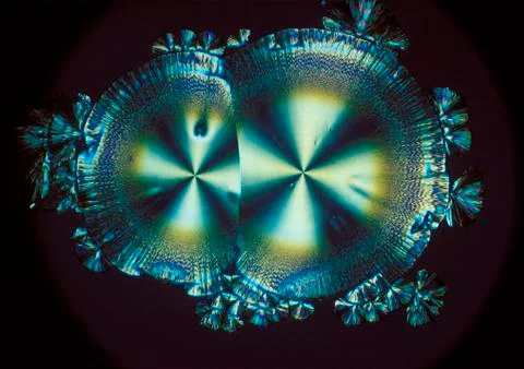 Ascorbic acid vitamin c crystal micro structure lm-micrograph Stock Photos