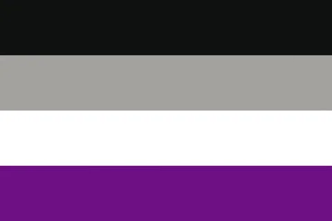 Asexual flag Illustrazione stock