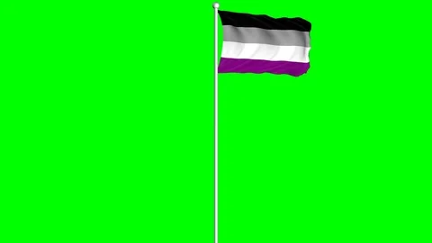 Asexual Flag Waving Fluttering on Wind Loopable Green Blue Screen Matte Stock-Footage 77698026