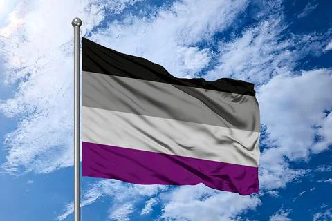 Asexual Pride Flag – Static Image of the Asexual Community Banner Stock Illustration