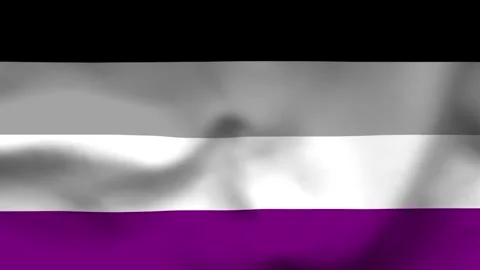 Asexual Pride Flag Textured Fabric Background Stock Footage 336182687