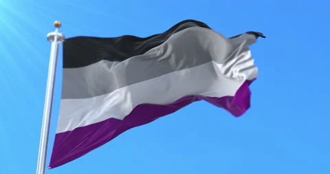 Asexual pride flag waving. Loop Stock Footage 219785144