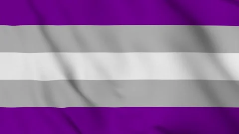 Asexuality Pride Flag Stock Footage 311727046