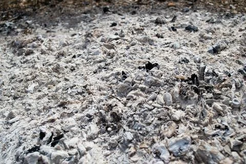 Ash from a campfire natural background texture. Stock Photos