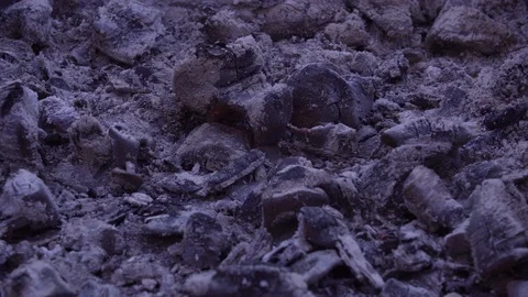 Ash from coals 3 Video stock 88558718