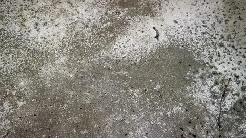 Ash concrete texture as background Stock Photos