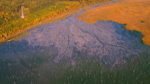Ash dump in flooded forest Stock Footage 139142192