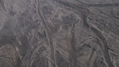 Ash dump in flooded forest Stock Footage 144434570