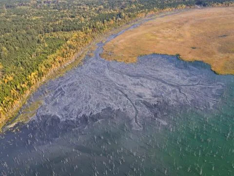 Ash dump in flooded forest Stock Photos