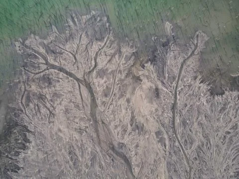 Ash dump in flooded forest Stock Photos