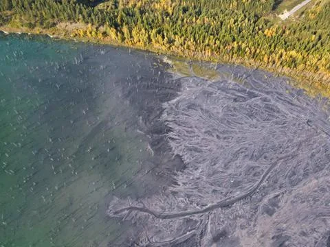 Ash dump in flooded forest Stock Photos