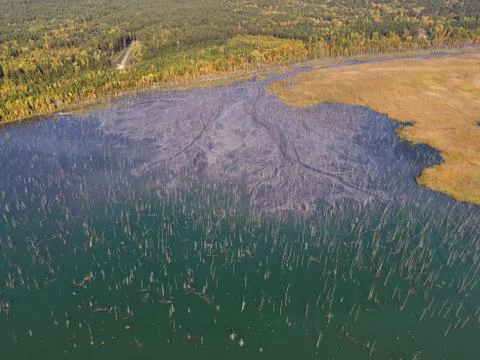 Ash dump in flooded forest Stock Photos