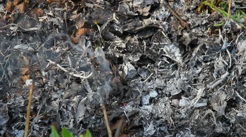 Ash from the fire Stock Footage 50448722