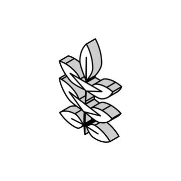 Ash leaf isometric icon vector illustration Stock Illustration
