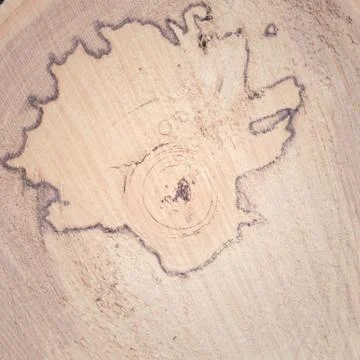 Ash Log Detail Stock Photos