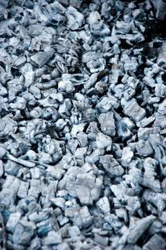 Ash Stock Photos