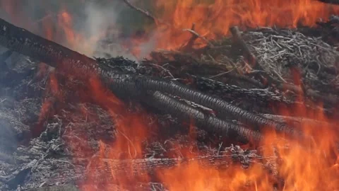 ASH PILE Video stock 273985868