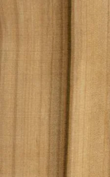 Ash rowan Wood tree pattern samples natural rural timber Stock Photos