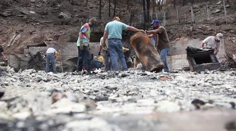 Ash Salvaging Work After Wildfire Stock Footage 45361031