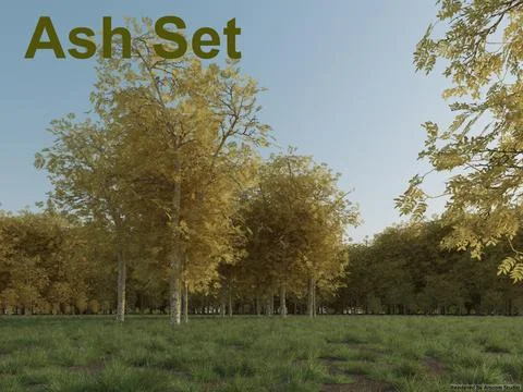 Ash Set 3D Model
