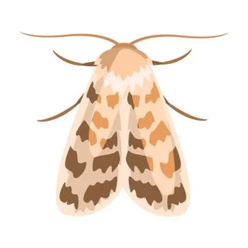 Ash sphinx moth or manduca jasminearum. Colorful cartoon illustration Stock Illustration