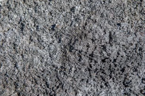 Ash Texture Stock Photos
