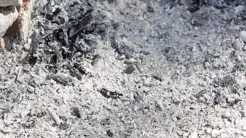 Ash texture.Burned out ashes grunge texture. Stock Footage 106808242