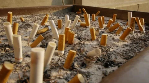 Ash Tray 動画素材 8651443