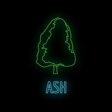 Ash tree glowing neon sign outlining natural forest concept Stock Illustration