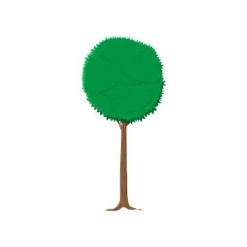 Ash tree isolated on white Stock Illustration
