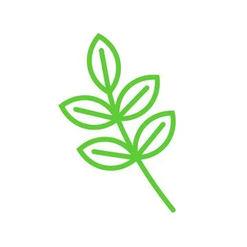 Ash tree leaf, leaves icon, isolated on white background Stock Illustration