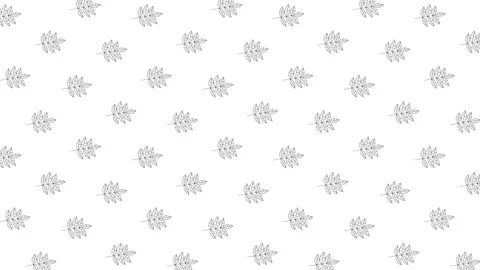 Ash tree leaves black thin line icons on a white background. Seamless loop Video stock 159020512