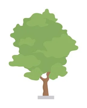 Ash tree semi flat color vector object Stock Illustration
