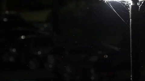 Ash from a wildfire under a streetlight at night Stock Footage 79731281