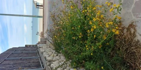 Ashdod beach Stock Photos