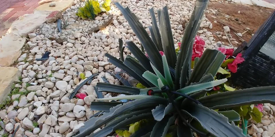 Ashdod beach Stock Photos
