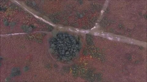 Ashdown Forest birds eye view Stock Footage 68896788