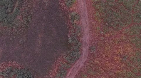 Ashdown Forest birds eye view Stock Footage 68896827