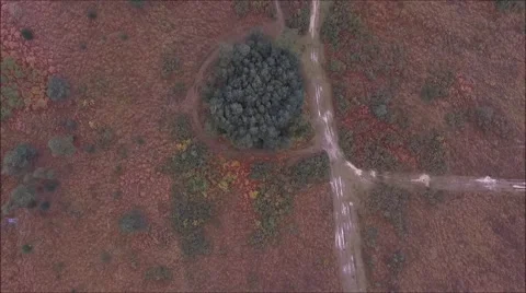 Ashdown Forest birds eye view Video stock 68896897