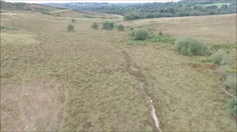 Ashdown forest rising Stock Footage 68059482