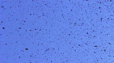 Ashes 6 Stock Footage 25424540