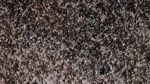 Ashes 8 Vídeo Stock 25425860