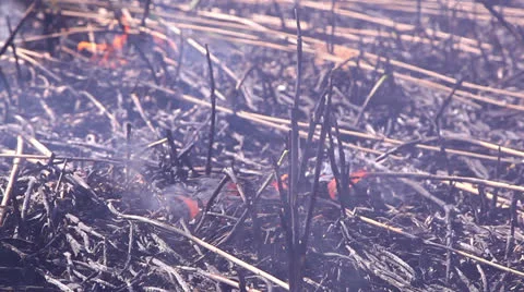 Ashes after a fire 3 Video stock 23005181